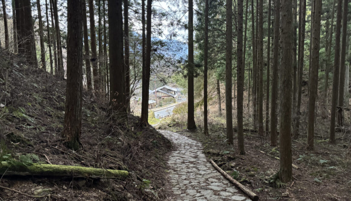 A stone walkway through the woods along the Nakasendo Way