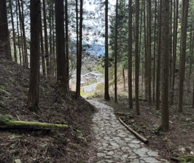 A stone walkway through the woods along the Nakasendo Way